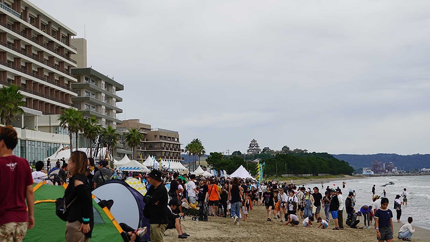 dsc05213.jpg